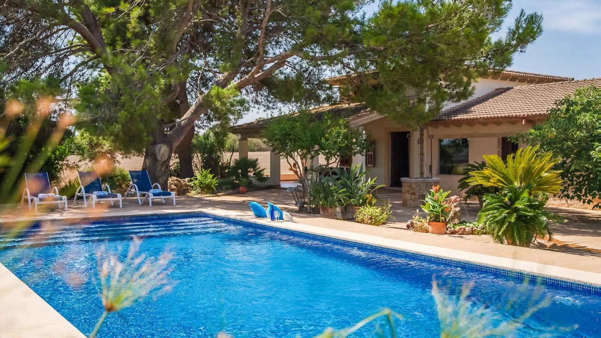 Ideal Property Mallorca - Can Ribas Кан Пикафорт