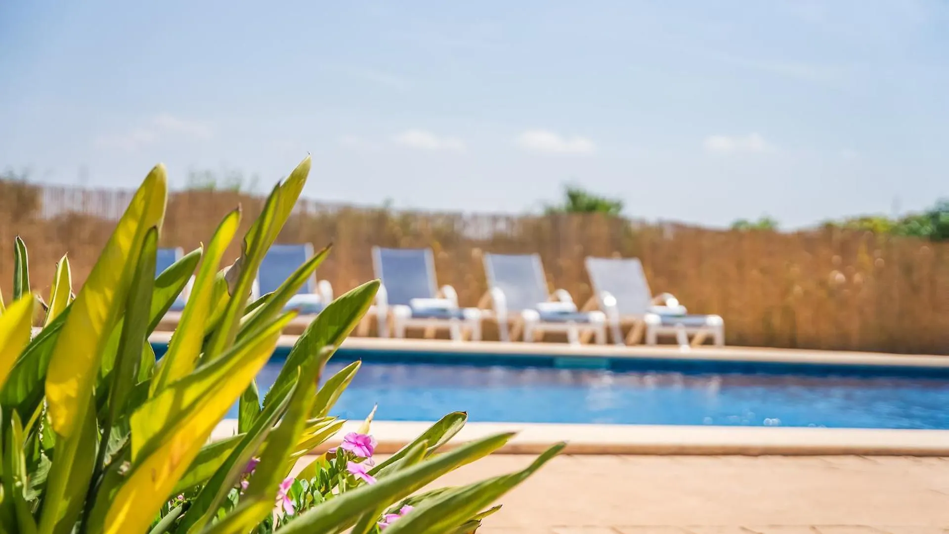 Ideal Property Mallorca - Can Ribas Can Picafort  Casa di campagna
